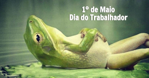 1º de Maio - Dia do Trabalhador