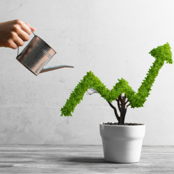 Aprenda os primeiros passos para ser um Empreendedor de Sucesso